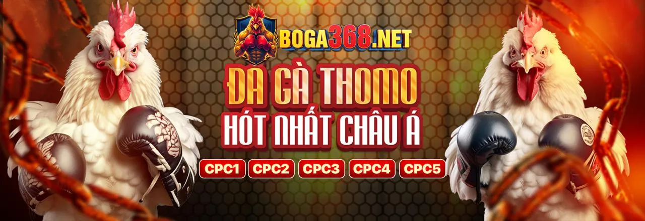 Đá gà trực tuyến kịch tính tại bsports