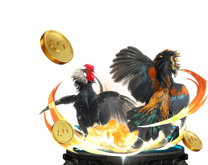 Trò chơi live casino tại bsports với người chia bài thật
